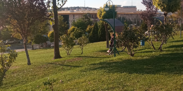 Sema alıcı 